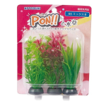 コトブキ　ＰＯＮ！！と水草　ＳＳ　ミックスＢ