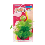 コトブキ　ＰＯＮ！！と水草　Ｓ　マッシュルーム
