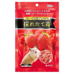 ピッコリーノ　フルーツ王国　プレミアム　採れたて苺　４６ｇ