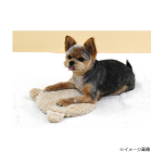 ドギーマン　ＨＯＴ　ＨＯＭＥ　レンジでチンして　ぽっかぽか　イヌ