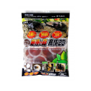 フジコン　ワイドカップ　樹液の森　育成２０