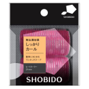 プロヴァンス　ヒートカーラー　３１ｍｍ　２個