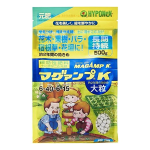 マグァンプＫ　大粒　５００ｇ