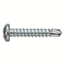 サンコーテクノ　ドリルスクリュー　ＰＡＮ－３．５Ｘ１９－１００　スチール製　１００本入