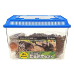 かんたん昆虫飼育セット　Ｍ