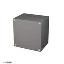 プルボックス　民間仕様（さび止め）・平ふた　３００×３００×１００　ＩＰ３０１０ＳＧ