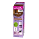 ブローネ　ヘアマニキュア　白髪用　ライトブラウン　つけかえ用