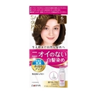 サロンドプロ　無香料ヘアカラー 早染め乳液 白髪用　６ ＜ダークブラウン＞