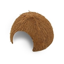 ココナッツハウス　ＹＤ－３４