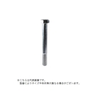 ３６２４３　ステンレス六角中ボルト　Ｍ１２×１３０　１０本入