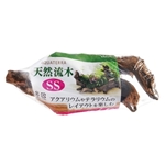 ＧＥＸ　天然流木　ＳＳ