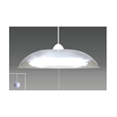 タキズミ　ペンダントライト 洋風　ＬＥＤタイプ　ＲＶ６００４９