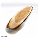 イチイ　斜め輪切り　Ｌ