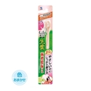 生葉(しょうよう)　もふもふ磨ける　ブラシ　コンパクト　やわらかめ　コンパクト