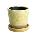 カラー グレーズド ポット　Ｓ　イエロー　2.5号鉢目安