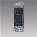 パナソニック　アドバンスシリーズ　埋込ダブルコンセント　金属枠付　グレー　WTL1502H