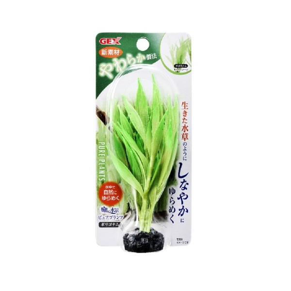 ＧＥＸ　癒し水景ピュアプランツ　ポリゴナム