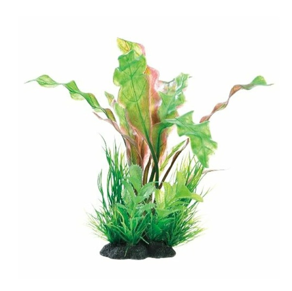 GEX　癒し水景　MIXプランツ　M　アポノ