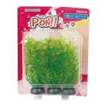 コトブキ　ＰＯＮ！！と水草　ＳＳ　パールグラス