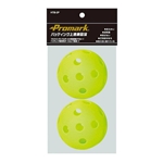 バッティング上達練習球　２球