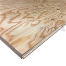 【店頭受取限定(配送不可)】針葉樹実付　約２４×９１０×１８２０　ＤＨ