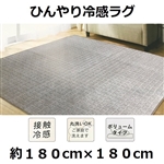 冷感シーザスラグ　約１８０×１８０ｃｍ　ＧＲ