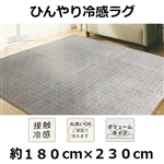 冷感シーザスラグ　約１８０×２３０ｃｍ　ＧＲ