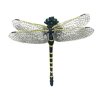 ミニヤンマちゃん　約W68×D55×H15mm