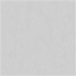 東リ　ロイヤルストーン　ＰＳＴ４１３８