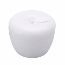 テイコブ入れ歯ケース