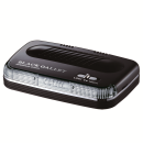 ブラックギャレット　プラチナシャワー