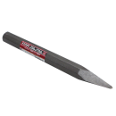 チスタガネ　２５ｍｍ