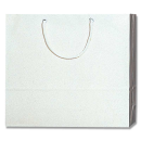 ブライトバッグ　GM　シロ