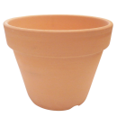 素焼き鉢　５号