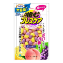 小林製薬　噛むブレスケア　パウチ　アソート　１００粒