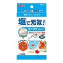 ＧＥＸ　塩で元気　ミニタブレット　５０錠