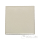 ブライト＆アタック　１００角 平タイル　Ｐ１０－１１１　１枚